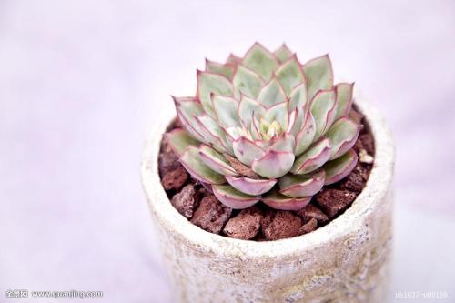 北京冬奥会竞赛场馆运行团队全部实现一线办公