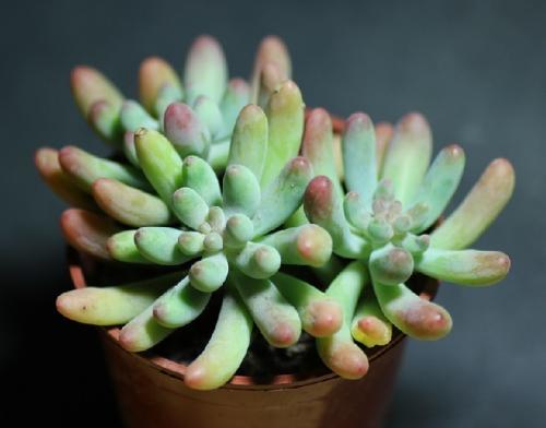 ƺӷⶳٶȼӿ쳤ȴﵽ631.3 ǧ׷