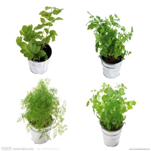 Сѧʱż ׶԰Ԫʱͣ԰