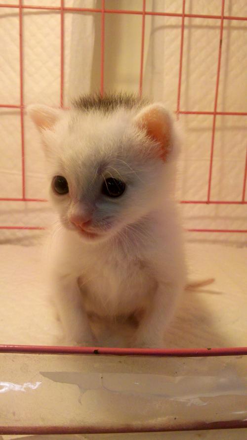 ɽ̨ոְѧת취תÿ 11ʩ