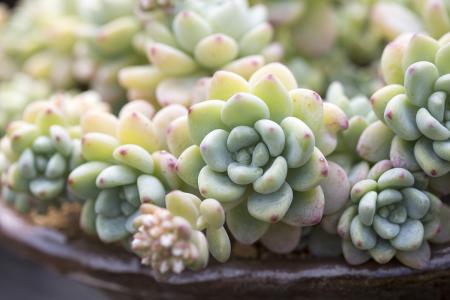 长江干线基本建成12座水上洗舱站防治船舶污染