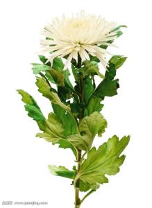 ɽһС5δůνģ31չů