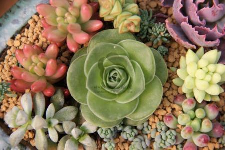 政务服务怎么样?“好差评”等你来评