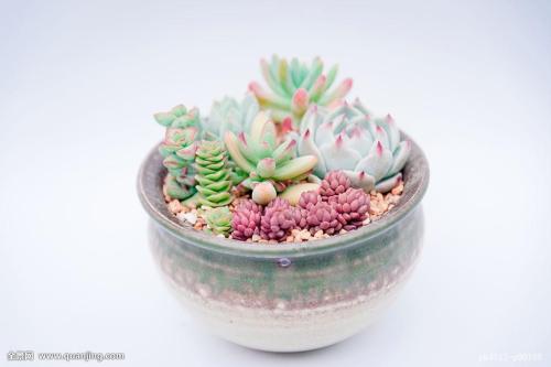 Сѧʱż ׶԰Ԫʱͣ԰