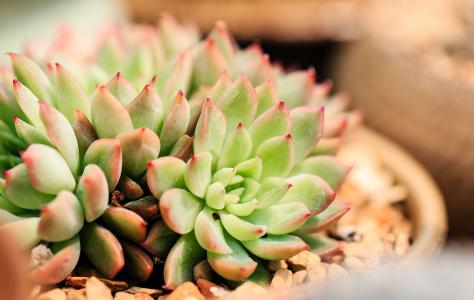 Ö±»÷±±¾©ÒßÇé:ÀäÁ´´«²¥·çÏÕ¼¸ºÎ?ºóÐøÕ¦·À¿Ø?